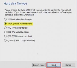 Select virtual disk type