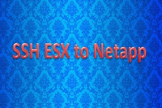 ssh from esx to netapp