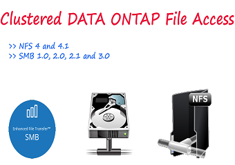NFS and CIFS in Clustered DATA ONTAP