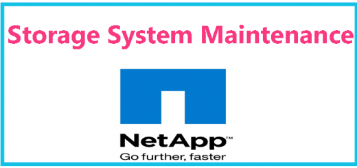 Storage System Maintenance