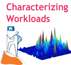 Characterizing Workloads in Netapp