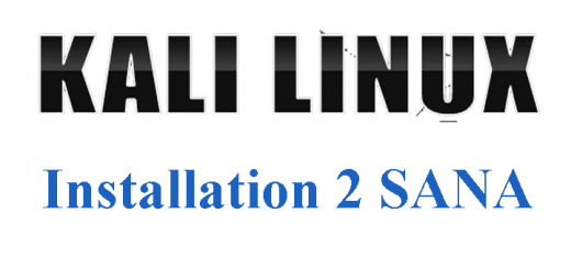 Kali Linux Installation