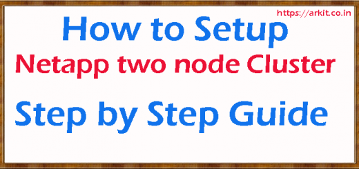 Netapp cluster setup can help you Survive a Filibuster, cluster setup netapp, netapp cluster setup