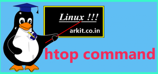 10 Reasons htop Command Is Getting More Popular In The Past Decade