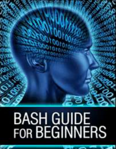 Bash Guide for beginners