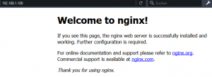 nginx