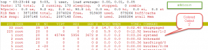 10 top command colored output