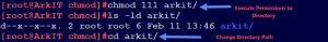 change dir permissions to execute