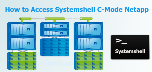 Access Systemshell Node Shell Netapp Cluster Mode