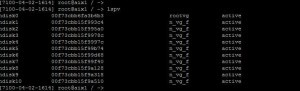 lspv command output in AIX server