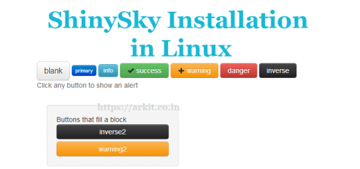 HowTo Install ShinySky Collection Shiny UI Packages