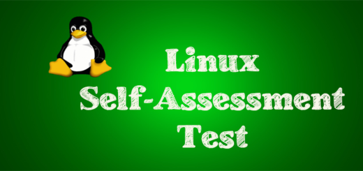 Linux Self Assessment Interview