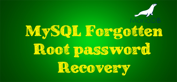 mysql password forgotten