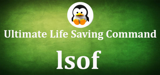 13 lsof command examples - list open files