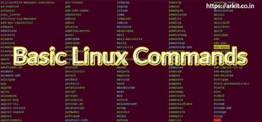 Basic Linux Commands